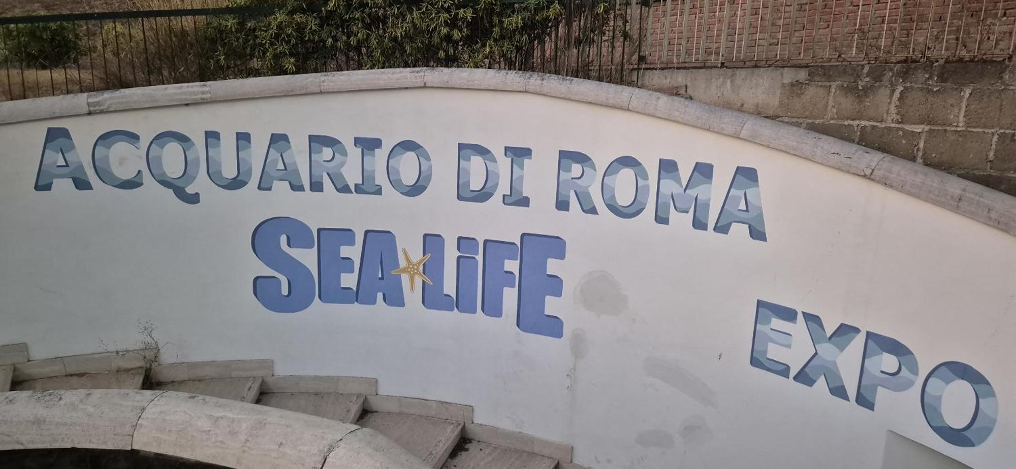 Eur Fenix Free Parking Family Apartamento Roma